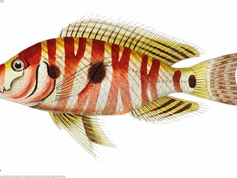 Avrupa Mobilya Tasarım Yarışması 2025 Sonuçları