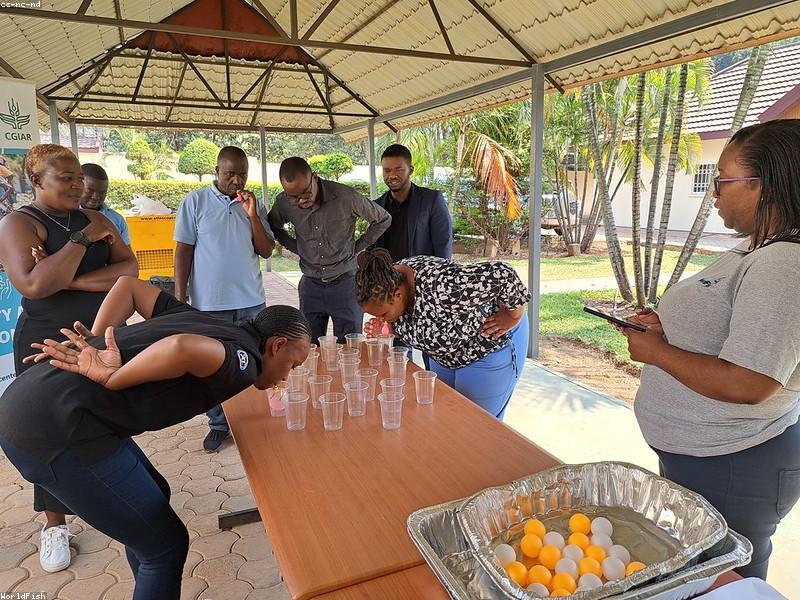 MDF vs. Sunta: Farklar Nelerdir?