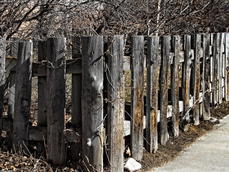 2026 Ahşap Yüzey Trendleri