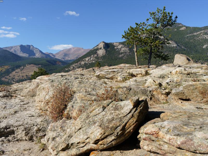 Sürdürülebilir Orman Ürünleri