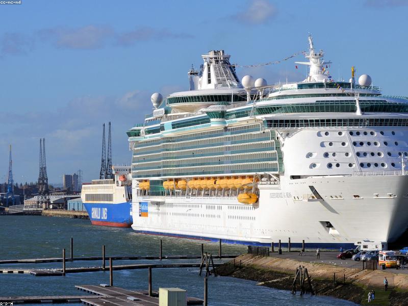 Türkiye Orman Ürünleri İhracat Raporu 2025